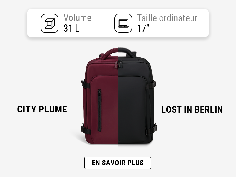 LE VOYAGEUR